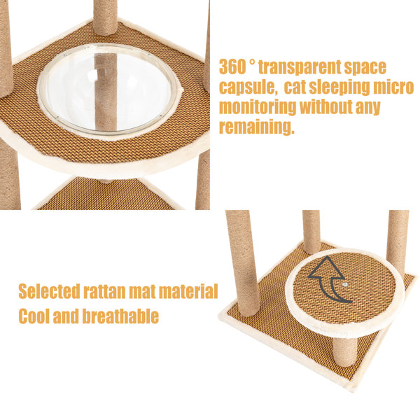 Tucker Murphy Pet™ Daubs 48" Climbing Cat Tree Wayfair Canada